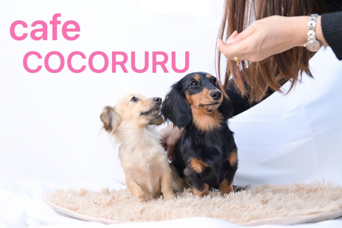 Dog cafe COCORURU image