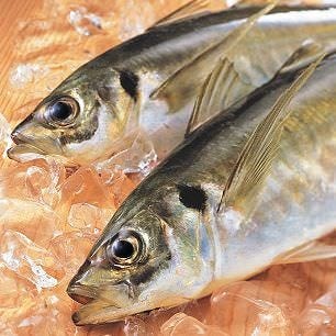 新長崎海鮮 個室風情 松鶴家 新宿東口店相片 新宿 生魚片 海鮮料理 Gurunavi 日本美食餐廳指南