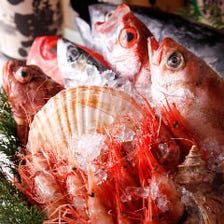 ◆水産卸・直営◆朝〆・一番セリ旬魚