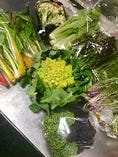 ［野菜］野菜コーディネーターの資格を持つシェフが埼玉ブランドさいたまヨーロッパ野菜や地産野菜を料理
