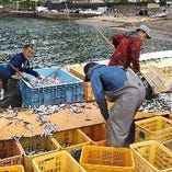 和歌山県の高田漁港直送鮮魚【有田　高田漁港】