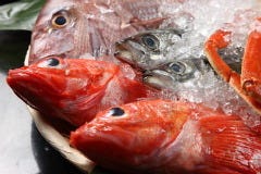 個室和食居酒屋 神田 魚えん