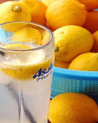 広島蒲刈産のレモンを使用した
「レモンハイ」