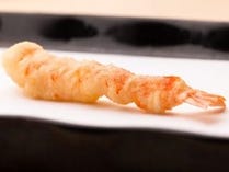 【1月～】【店主の想いが込められたおまかせコース】（2025年3月31日まで）