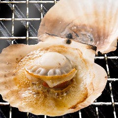 磯丸水産 河原町三条店_◆帆立の殻焼き
浜焼きといえば帆立！新鮮な帆立をぐつぐつと焼いて、醤油をつけて召し上がれ！焼き方が不安な方はスタッフがご案内いたします！