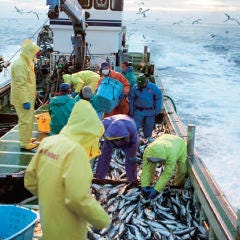 磯丸水産 河原町三条店_自慢の新鮮魚介