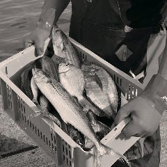 磯丸水産 河原町三条店_