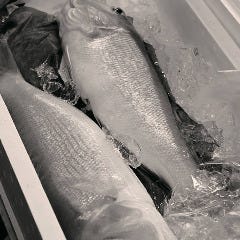 磯丸水産 河原町三条店_
