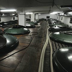 磯丸水産 河原町三条店_