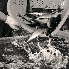 磯丸水産 河原町三条店_