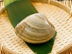 磯丸水産 河原町三条店_《活》白蛤(ホンビノス貝)の殻焼