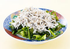 釜揚げしらすとお葱のサラダ 磯丸水産 河原町三条店_釜揚げしらすとお葱のサラダ