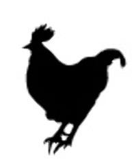 チョップスティックス 下北沢店