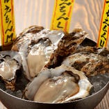 【厚岸町産ブランド牡蠣】
マルえもんカキ食べ比べセット（3種）