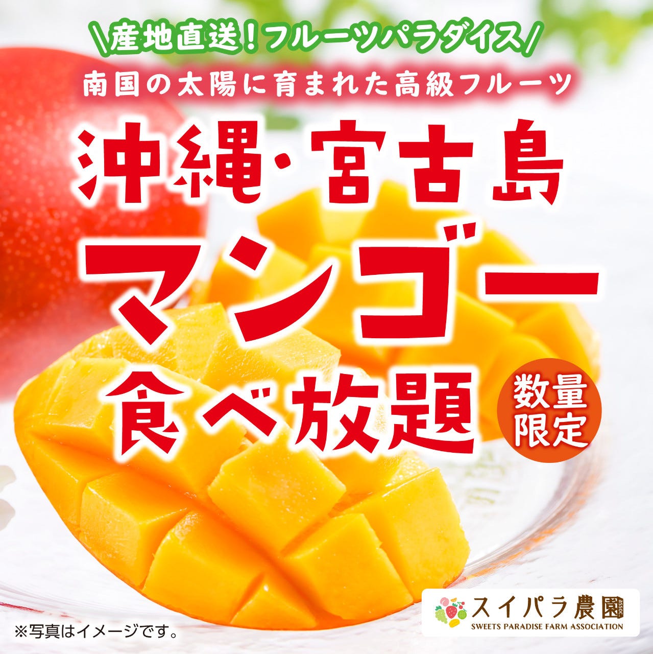 22年 最新グルメ スイーツパラダイス 上野abab店 上野 レストラン カフェ 居酒屋のネット予約 東京版