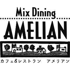 MixDining AMELIAN ʐ^2