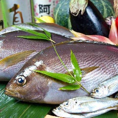 茜坂大沼 赤坂 懐石 懐石料理 ぐるなび 茜坂大沼 赤坂 懐石 懐石料理 ぐるなび