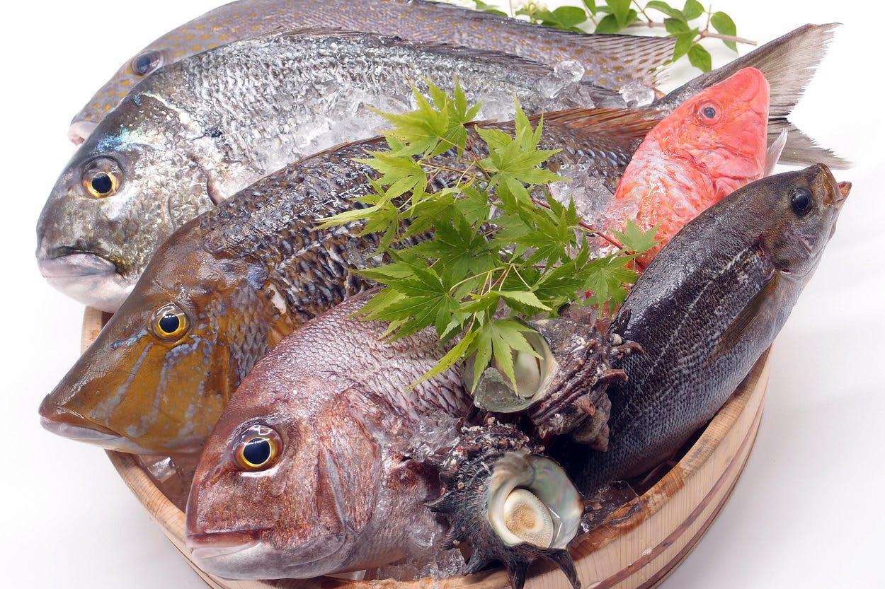 長崎県五島の朝獲り天然魚を直送！！