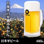 日本平ビール