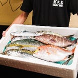 九州から毎日仕入れる海鮮。刺身・干物をアテにぐいっと一杯！