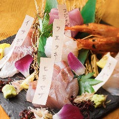 九州直送！本日のお造り5種盛り合せ