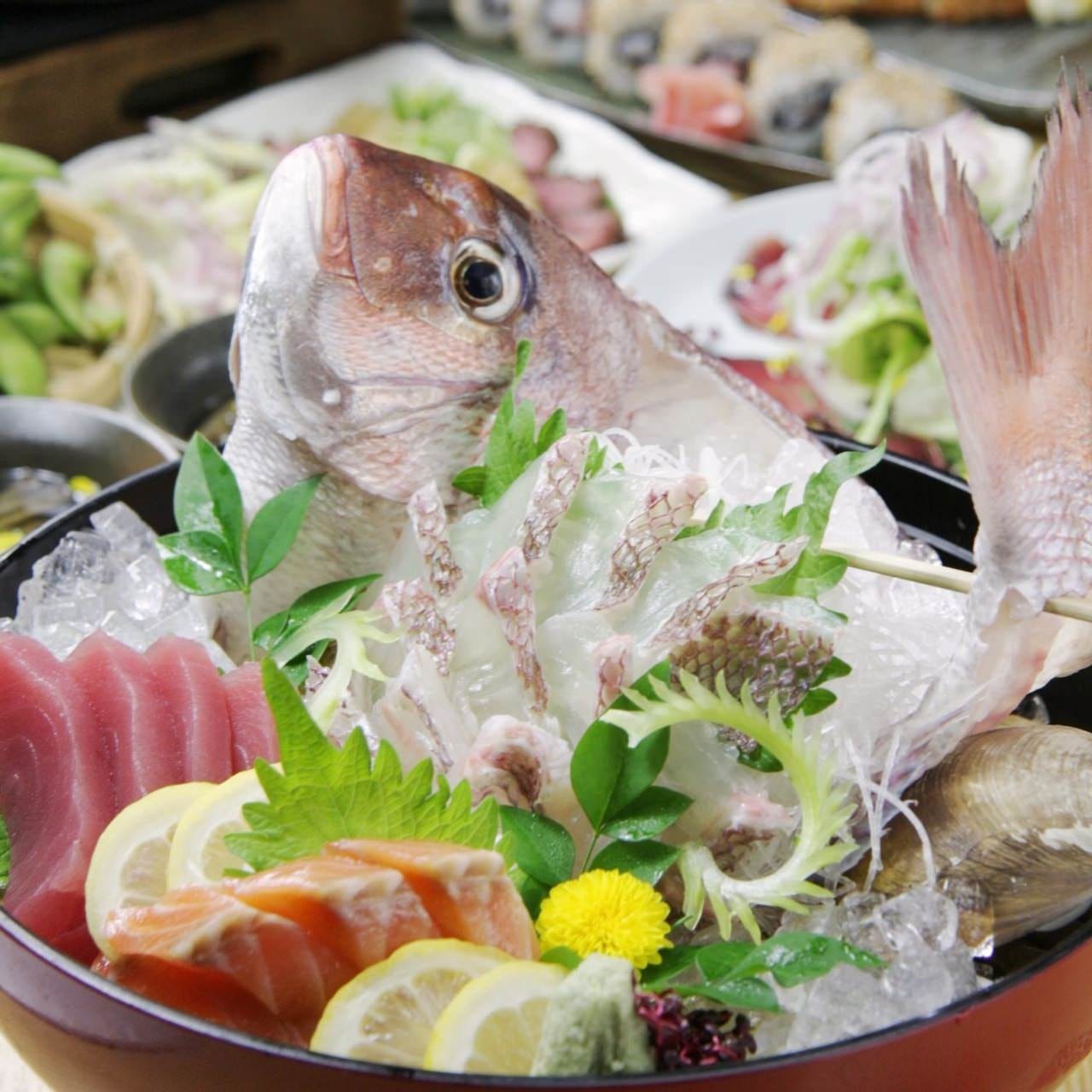 まぐろ居酒屋 さかなや道場 湘南台東口店 湘南台 善行 居酒屋 ぐるなび