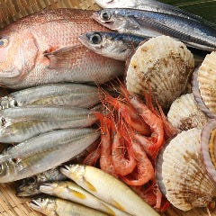 魚は市場直送の新鮮魚！ ぴちぴちな旬鮮魚を堪能できます