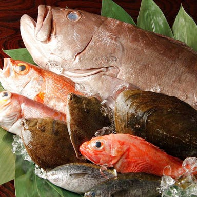 新橋の魚極める専門店『魚屋 小次朗』  こだわりの画像