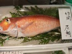 個室あり・新橋の魚極める専門店 『魚屋 小次朗』