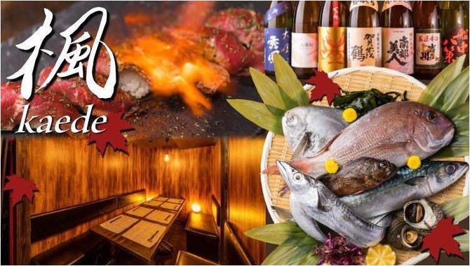 全席個室 肉炉端 瀬戸内海鮮 楓 Kaede 梅田店 東梅田 お初天神 太融寺 居酒屋 ぐるなび