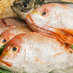 当店は豊洲から毎日仕入れている鮮魚を使用しています