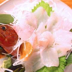魚魚魚