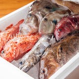 ◆石川県能登直送・釣り魚をご提供◆