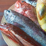 【産地直送の鮮魚】
珍しいお魚ばかりですが味は抜群！