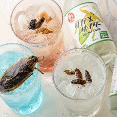 昆虫食 カラオケ喫茶＆バー アンビション