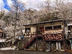 きっちん なかとよや