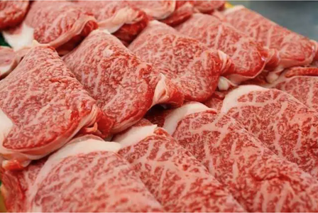 Sukiyaki Shabu-shabu HARUNA Hommachi