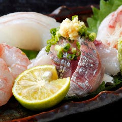 赤坂 蕎介