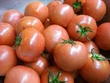 真っ赤に熟れた完熟朝採りトマト【熊本県】