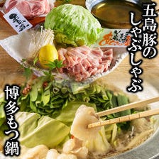 もつ鍋・水炊き・博多・九州料理人気