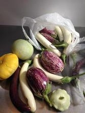 季節ごとの旬な有機野菜を使用！