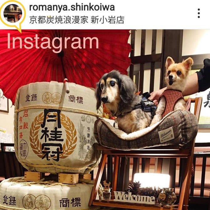 京都炭焼浪漫家 新小岩店 新小岩 居酒屋 ぐるなび