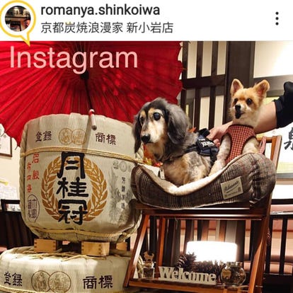 ランチならここ 新小岩の昼食 ご飯でおすすめしたい人気のお店 ぐるなび ランチならここ 新小岩の昼食 ご飯でおすすめしたい人気のお店 ぐるなび