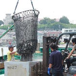 【漁港直送鮮魚】
漁港から直送しているので鮮度が違う！