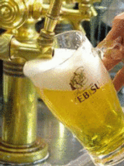 銀座ライオン 新宿エルタワー店