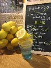 高崎で1番レモンサワーが上手い！！