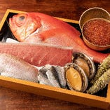小田原、下浦、平塚、横須賀などの三浦半島の今朝獲れ鮮魚