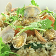 Risotteria.GAKU hiragishi_貝あさりとフレッシュトマトとバジルのリゾット