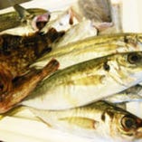 地元の港で仕入れた新鮮な魚介をリーズナブルな価格でご提供！