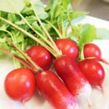 近所で採れる新鮮野菜！